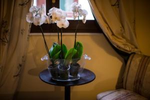 Fotografie z fotogalerie ubytování B&B Charme Celestino V° v destinaci LʼAquila