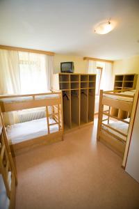 a room with two bunk beds and a television at Jugendgästehaus Gosauschmied in Gosau