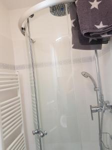 a shower with a glass door in a bathroom at Harzhome in Herzberg am Harz +32 photos