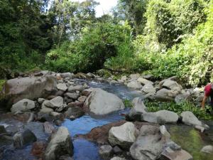 a stream of rocks and trees with a person standing next to it at Guayabo Lodge in Santa Cruz