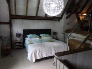 1 dormitorio con cama y lámpara de araña en B & B De Pimpelmees, en 's-Gravenmoer