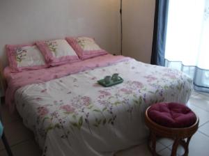 カネ・アン・ルシヨンにあるCANET Plage appartement 1 chambre , climatisation, parking sécurisé couvertのベッドルーム1室(ピンクの毛布と椅子付きのベッド1台付)
