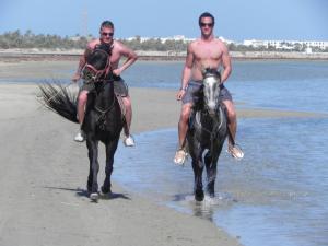 Dois homens andam a cavalo na praia. em Résidence Jlidi em Midoun