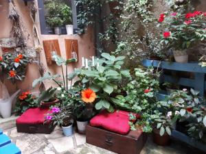 羅維尼的住宿－Casa 39 Apartments，盆子里的一束花和植物