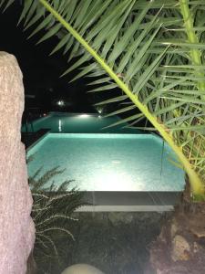 Bazén v ubytování villa Orchidee Sardegna nebo v jeho okolí