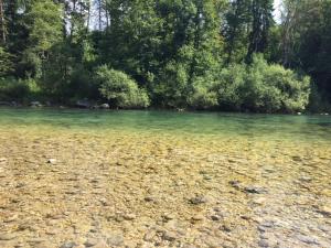 a large body of water with rocks and trees at Apartma 5 in Radovljica