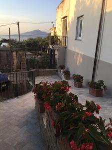 a patio with flowers in pots next to a building at L'antica Pigna Chateau in Vico Equense