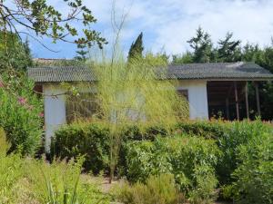 a garden in front of a house at Ha Mar ao Luar in Setúbal