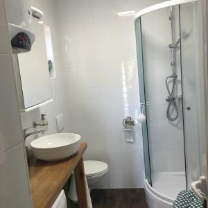 a bathroom with a shower and a sink and a toilet at Dream house in Zaglav