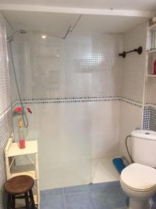 a bathroom with a shower and a toilet at Apartment Martinez Casablanca in Alcossebre