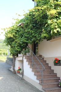a set of stairs next to a building with plants at No. 73 - Idylle im Rebenmeer in Pleisweiler-Oberhofen