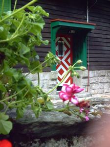 una casa con una puerta verde y flores rosas en Dom Pod Ptasznicą, en Kudowa-Zdrój