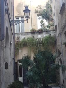 une allée avec un palmier devant un bâtiment dans l'établissement Dimora Petra, à Lecce