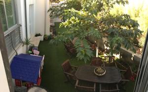 Сад в Hotel Aurora