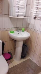 Kúpeľňa v ubytovaní Sadyba Margaryta