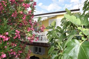 Zahrada ubytování Apartmani Novosel
