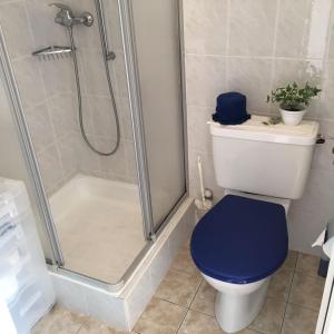ロカルノにあるCasa Fiorellaのバスルーム(シャワー、青い椅子付きトイレ付)