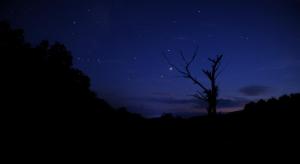 a starry night with a tree in the foreground at Zen Box House in Yangshuo