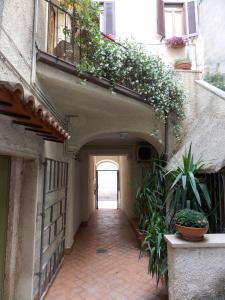 Une allée dans un bâtiment avec des plantes et des fleurs dans l'établissement Casa al Trevio, à Tivoli
