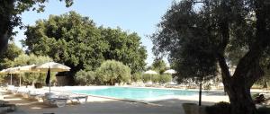 Bazén v ubytování Valata Minusa Country Resort nebo v jeho okolí