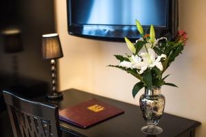 Fotografie z fotogalerie ubytování Hotel Patavium v destinaci Padova