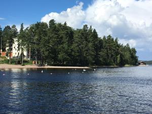 a body of water with a bunch of ducks in it at Saimaa Houses in Imatra