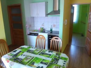 a kitchen with a table with chairs and a stove at Apartment Helena in Bielsko-Biała
