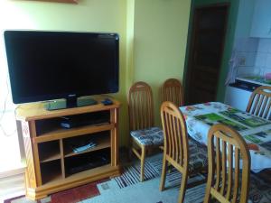 TV a/nebo společenská místnost v ubytování Apartment Helena