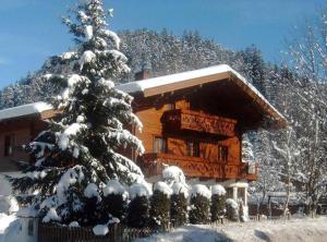 a log cabin with a snow covered tree in front of it at Appartements Huber in Altenmarkt im Pongau