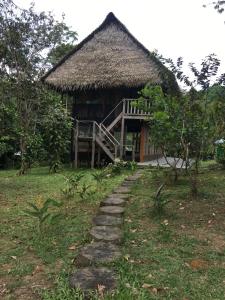 a path leading to a hut with a thatch roof at Reserva Natural Tucuchira in Santa Sofía