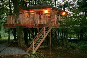 une cabane dans les arbres avec un escalier dans les bois dans l'établissement B&B La Cabane du Bois Dormant, à Spa