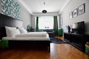 ブダペストにあるStandard Apartment by Hi5 - Régiposta 13のベッドルーム(大型ベッド1台、テレビ付)