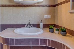 a bathroom with a tub with plants in it at Holiday Home Mirna Vala in Sevid +53 photos