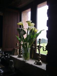 a vase of flowers sitting on a window sill at Casona Los Gamonales in Carreno