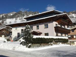 un edificio cubierto de nieve con un árbol delante de él en Haus Höllerer, en Uttendorf