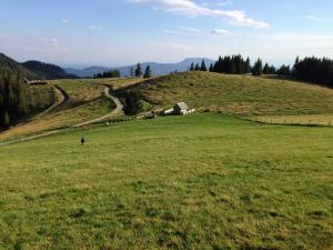 osoba stojąca na polu zielonej trawy w obiekcie Gartenwohnung auf der Sommeralm w mieście Sankt Kathrein am Offenegg