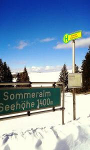Sommeralmhütte v zimě