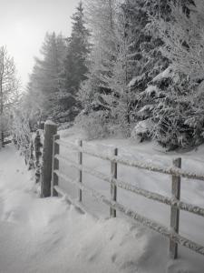 Sommeralmhütte v zimě