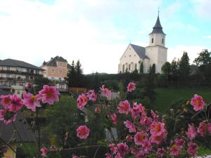 Zahrada ubytování Sommeralmhütte + 20 fotografií