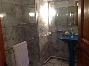 a bathroom with a shower and a sink at Au mas des graviers in Salavas