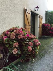 een bos bloemen aan de zijkant van een gebouw bij Gite de Serrelongue in Montségur