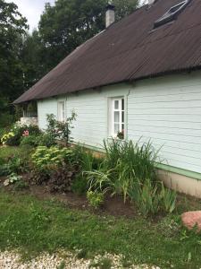Pällu的住宿－Väike-Pällo Holiday Home，白色的房子,有窗户和一些植物