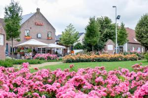 a garden with pink flowers in front of a building at B&B Orgel Thuis in Kinrooi