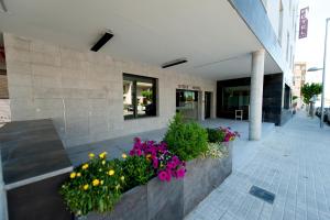 Foto dalla galleria di Visit Hotel a Caspe