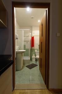 a bathroom with a shower and a sink and a toilet at Constitution Square Rooms in Warsaw