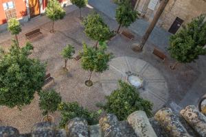 Vonkajšia záhrada v ubytovaní SunShine Arco de San Francisco