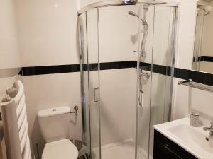 a bathroom with a shower and a toilet and a sink at Willa polne wzgórza in Krynica Zdrój +15 photos