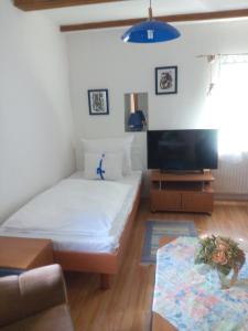 TV a/nebo společenská místnost v ubytování Pension Jana Tatrovice