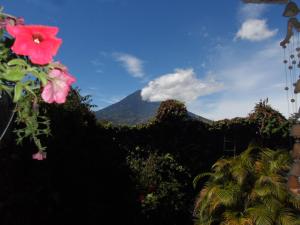 a view of a mountain with a pink flower at Casa Landivar Hotel in Antigua Guatemala