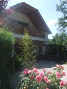 Zahrada ubytování Oak Tree Apartment - Tölgy Lak